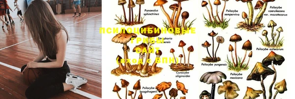 дживик Алексин