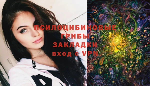марки lsd Алексеевка