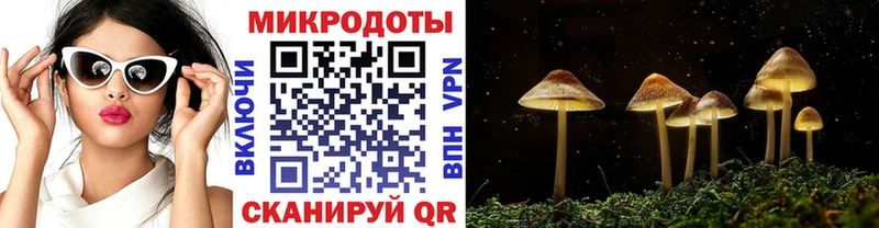Галлюциногенные грибы Psilocybine cubensis  нарко площадка телеграм  Кремёнки 